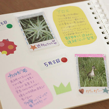 Personalized pictorial book with instax photos