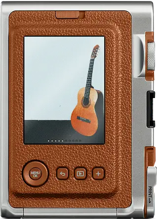 BROWN — back view