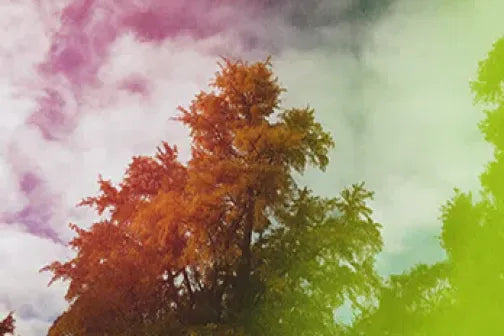 Color Gradient