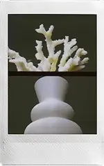 Half-frame