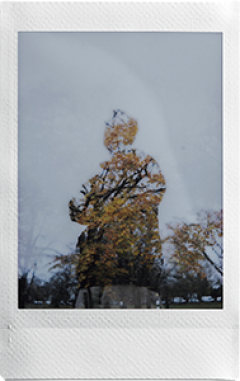 Double Exposure